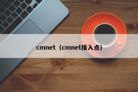 cmnet（cmnet接入点）